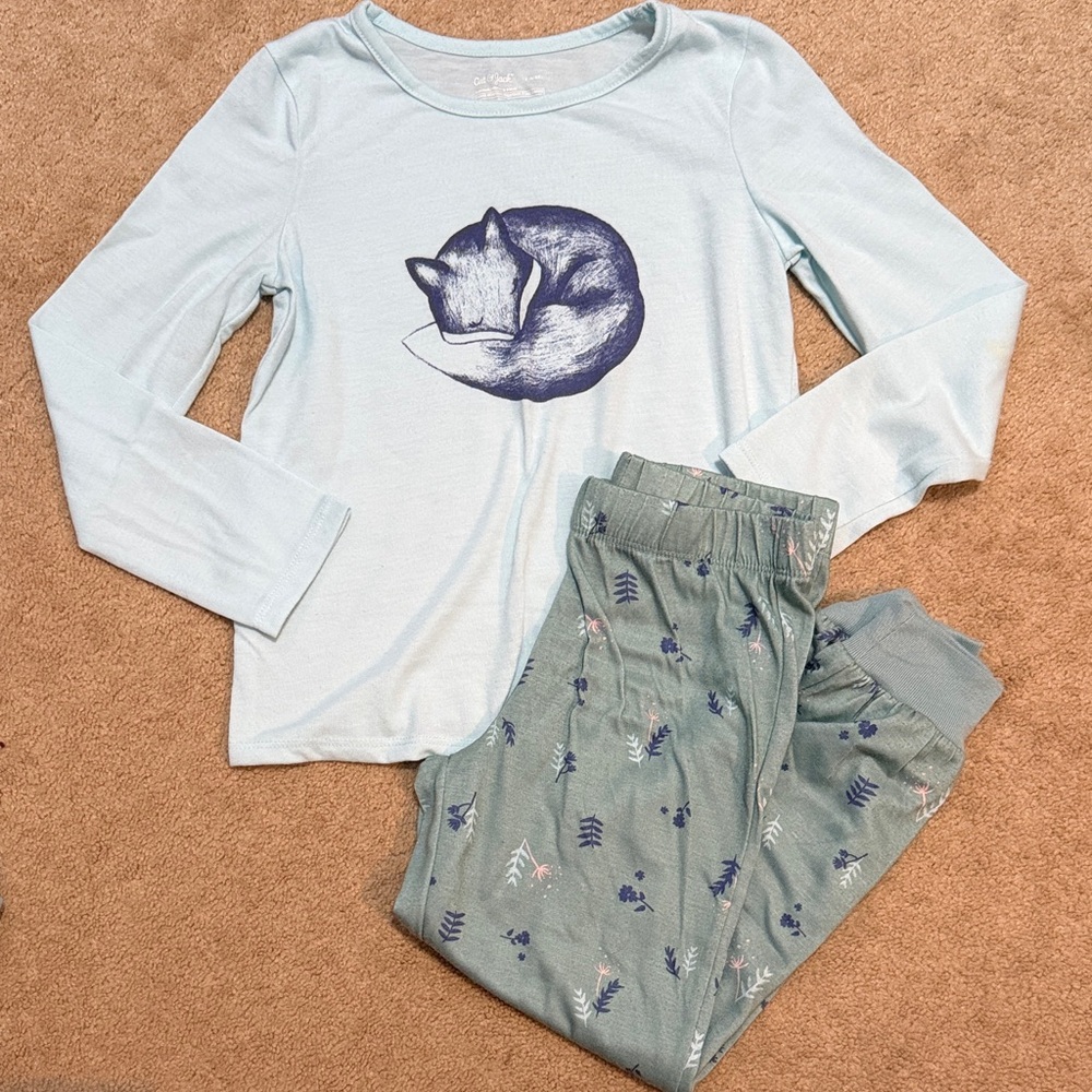 Cat & Jack Light Blue Fox Pajama Set